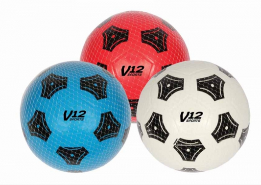 V12 Sports Pro Football