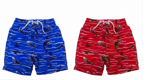 Boys Swim Shorts- Assorted Colours